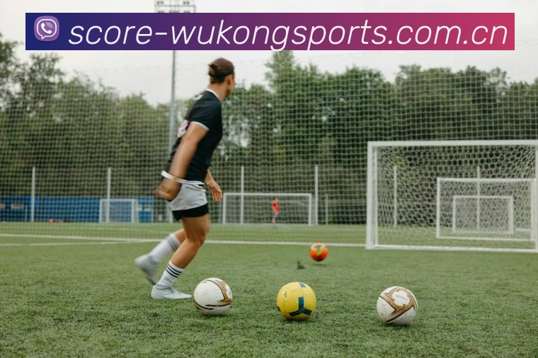 悟空体育(Wukong)官方网站-WUKONG SPORTS团队